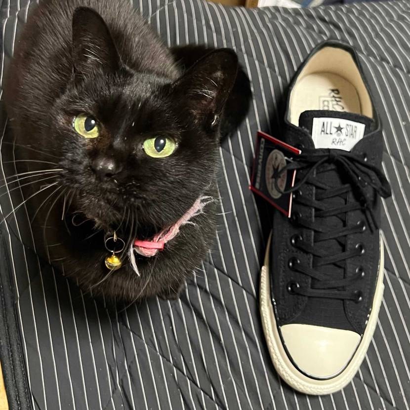 寒い中エキスポシティまで並び行った甲斐あり。
リップストップのオールスターなん