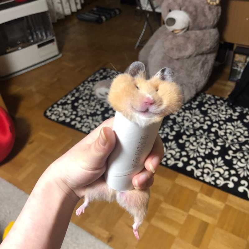 ユーザーアイコン
