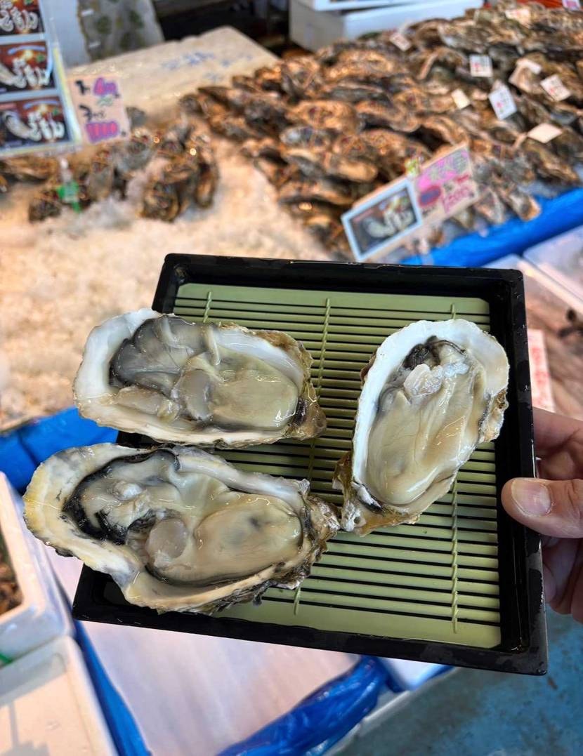 おーせんもいいですがすりっぽんもいいですよ♨️

#源泉