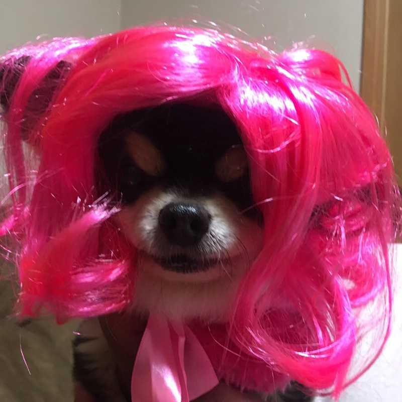 お銀