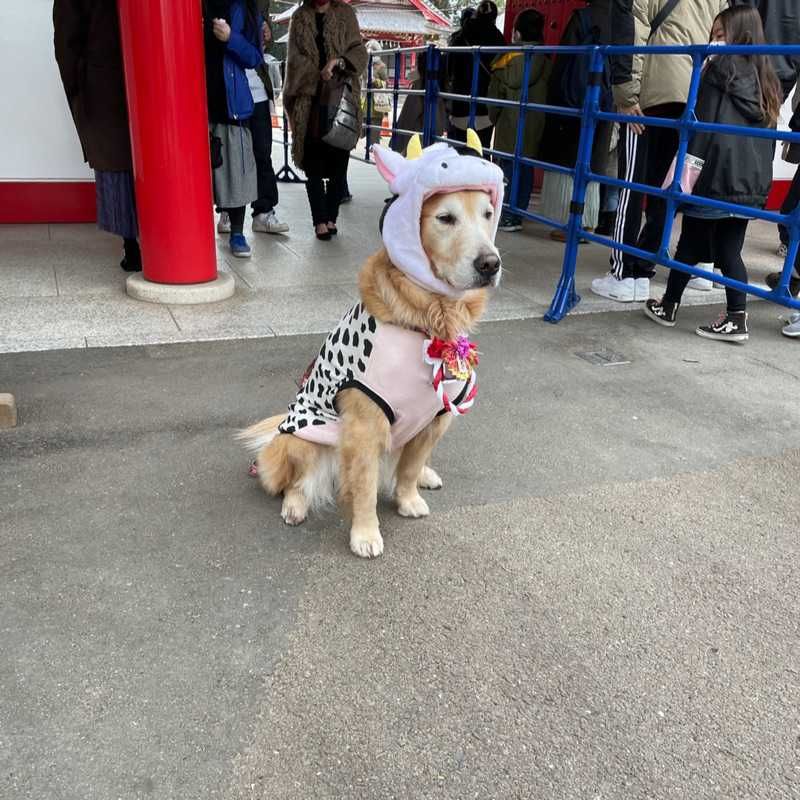 黒健