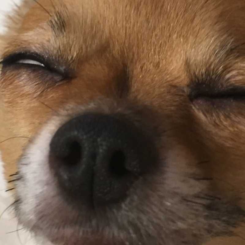純