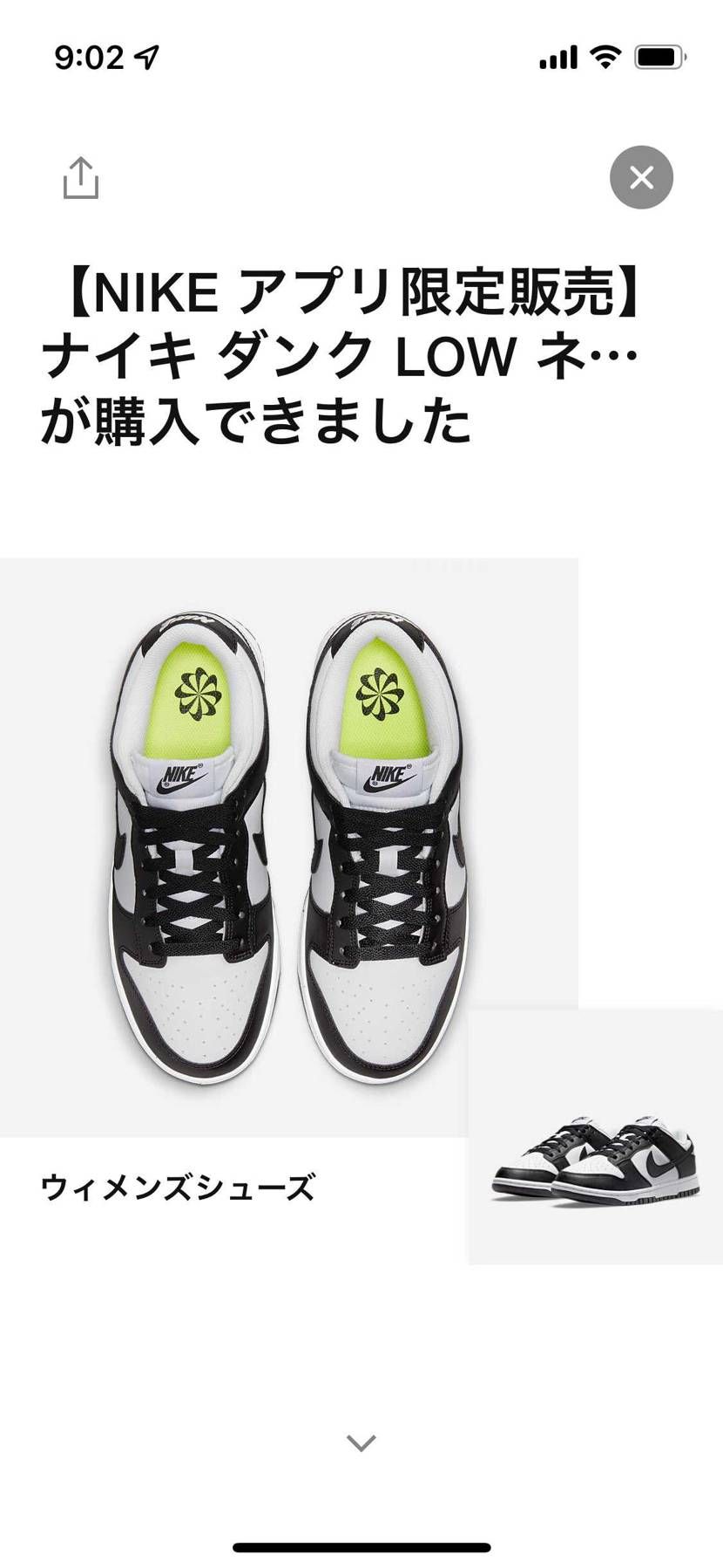 人気ないパンダ🐼