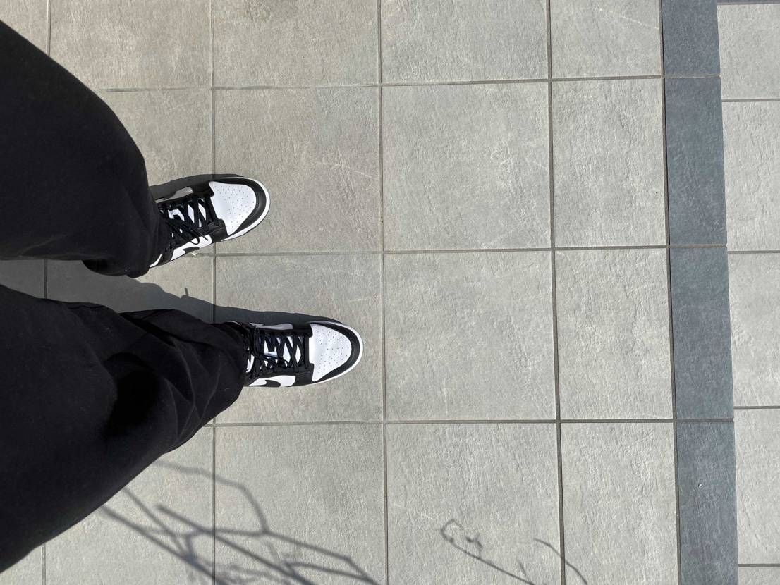 本日はバグでゲットしたっぽいパンダダンク