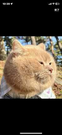 ユーザーアイコン