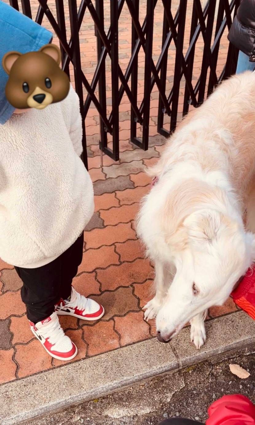 あけましておめでとうございます🎉

家族で、シカゴ&シカ