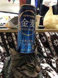 マツ