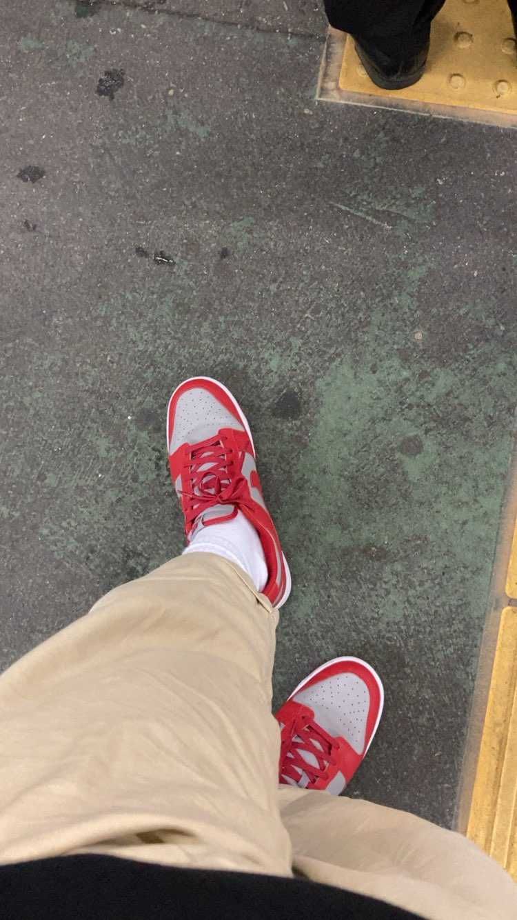 aj1ばっかり履いてたけどダンクlowが楽すぎる。

カレッジカラーすこ