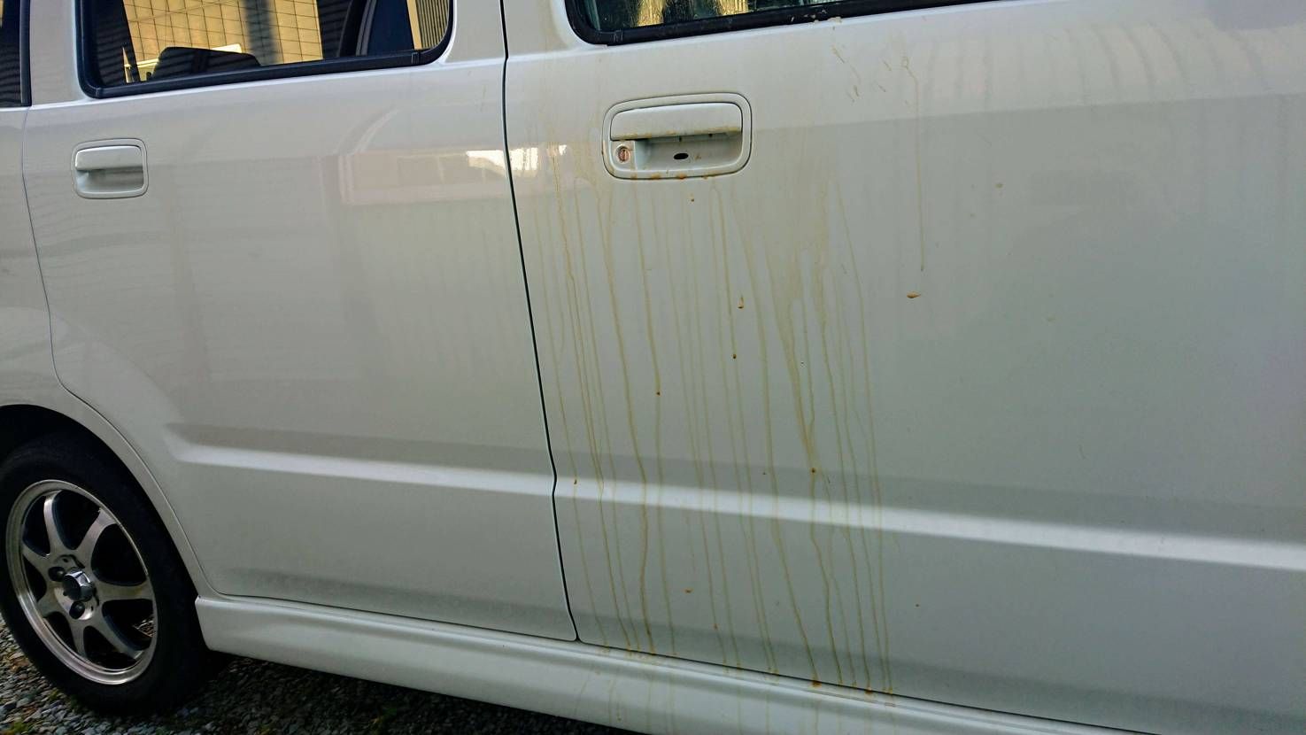 ご覧いただきありがとうございます。

皆様。木曜日お疲れ様でございました。

会