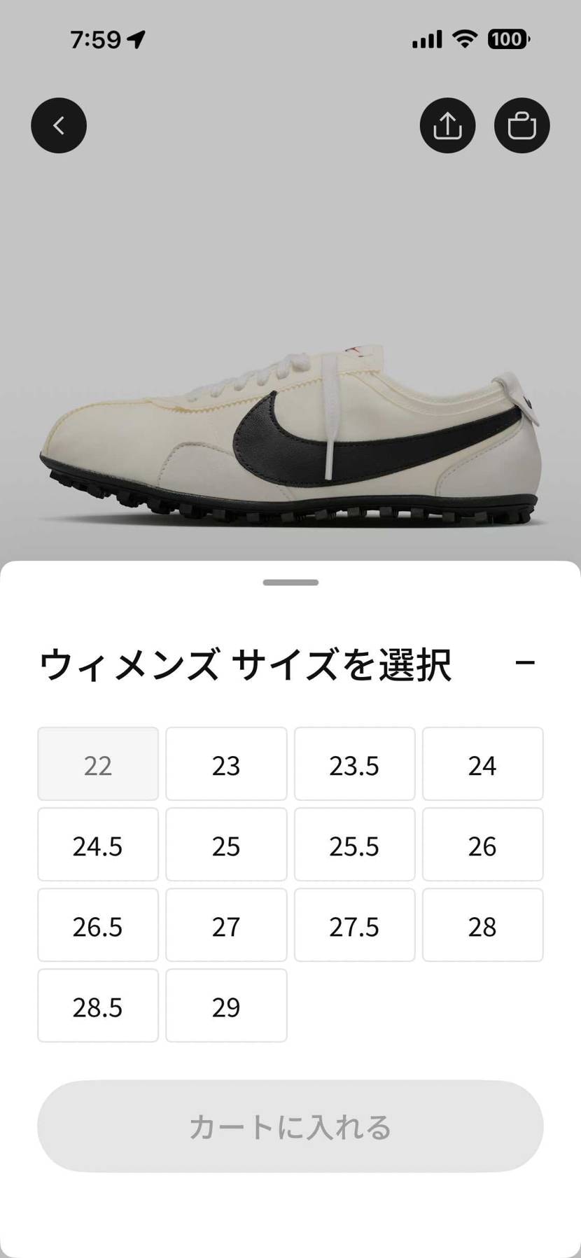ほぼフルサイズ🐿️してますよ〜