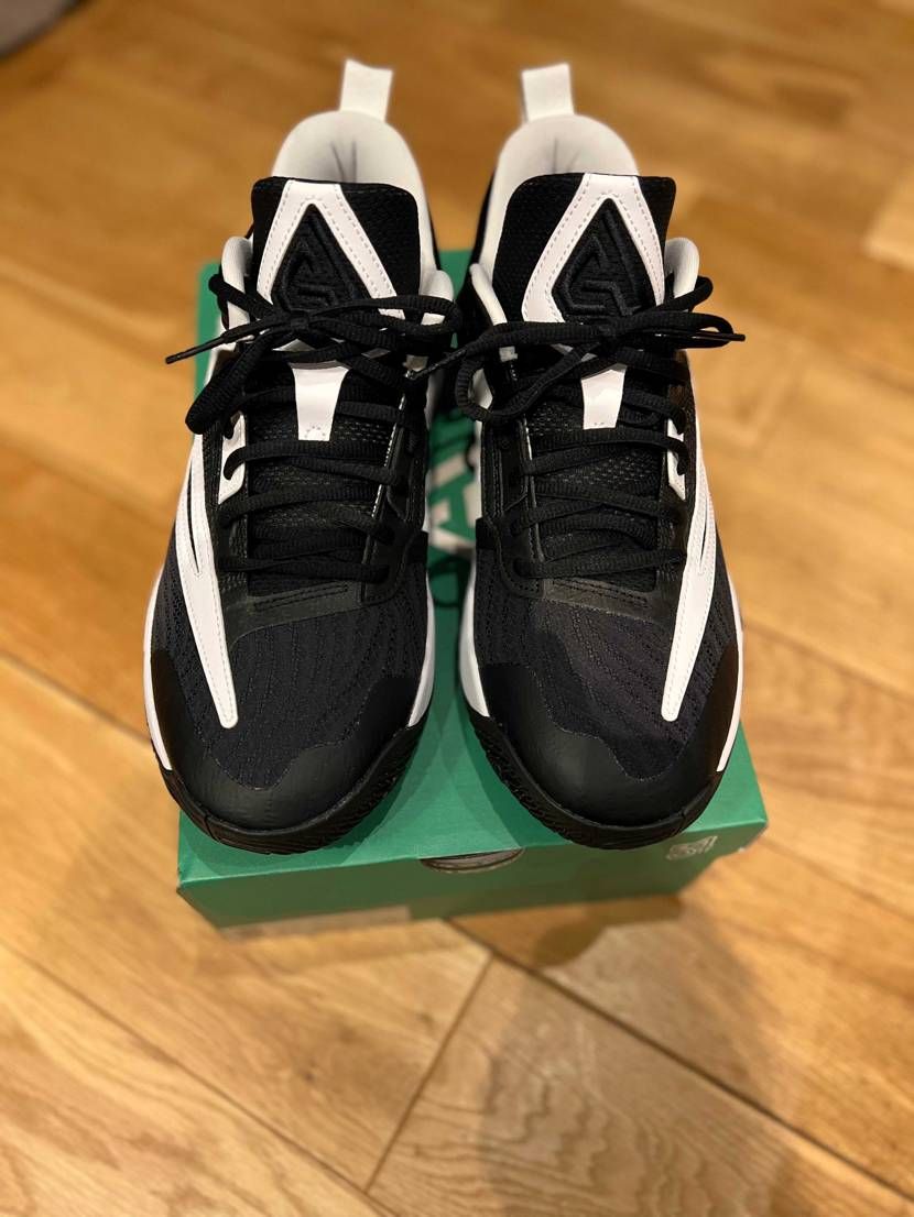 仕事用にセールで買ったヤニスイモータリティ3と言うのが届いた