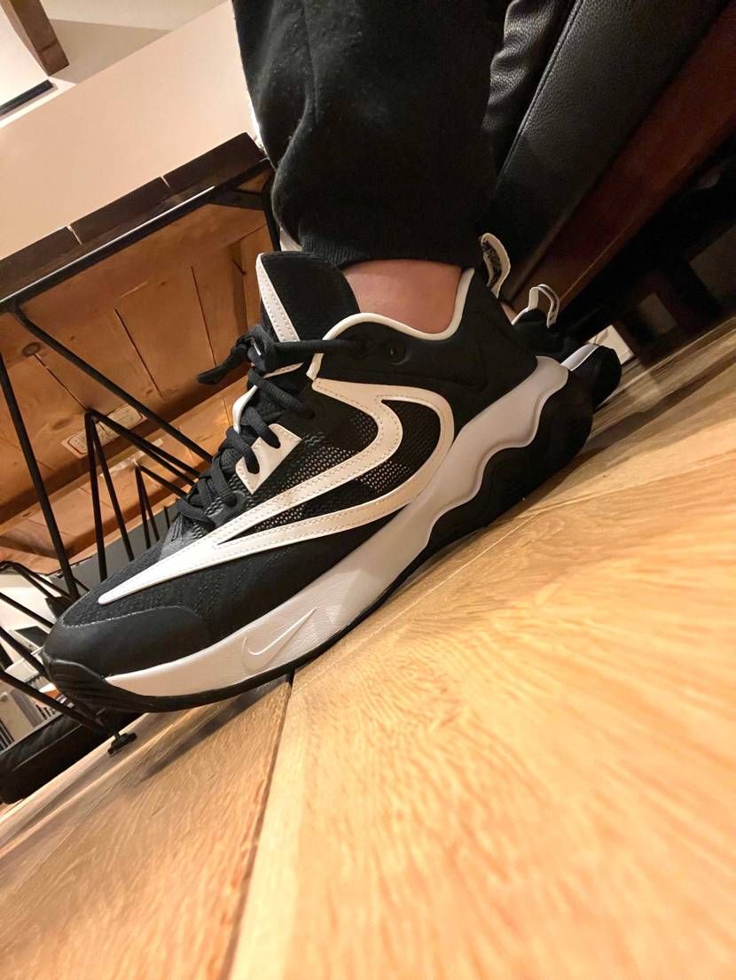 仕事用にセールで買ったヤニスイモータリティ3と言うのが届いた