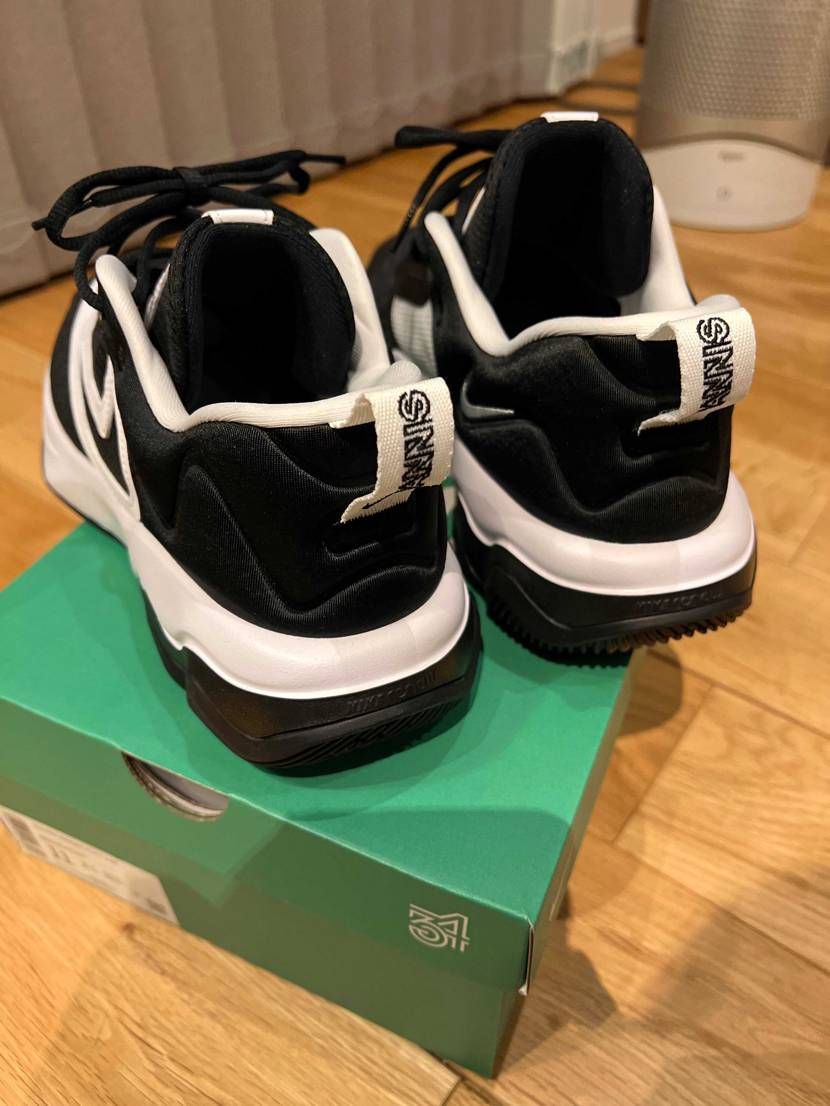 仕事用にセールで買ったヤニスイモータリティ3と言うのが届いた