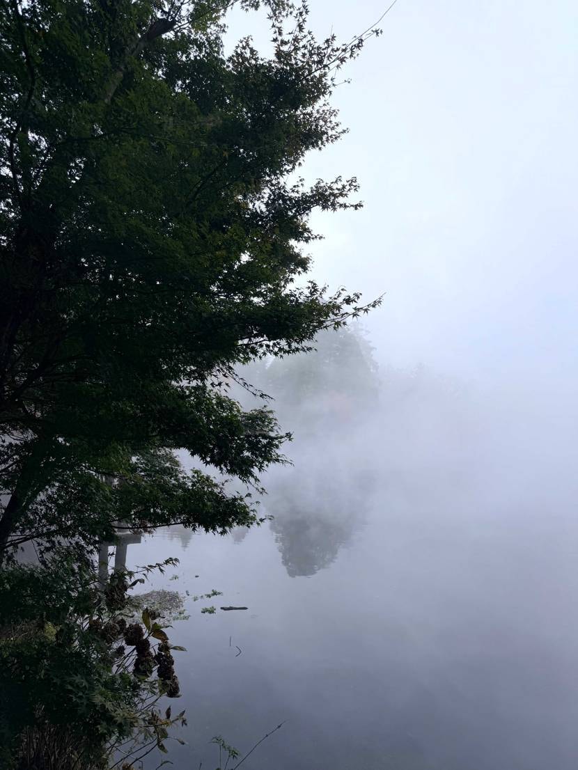 ヴェイパーワッフル履いて旅行行ってきた☺️金鱗湖の朝霧が最高