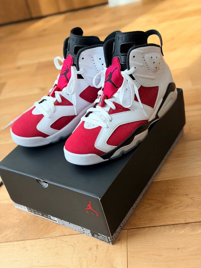 過去のカーマインは、ほぼ履かないまま加水分解して後悔したので2021のは絶対履く