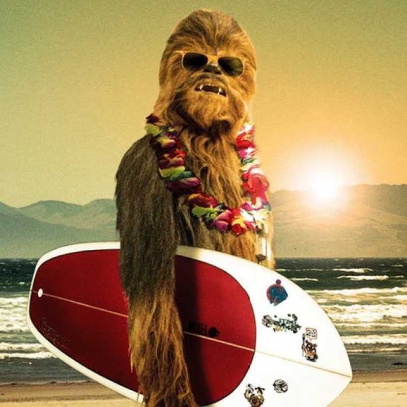 wookiee