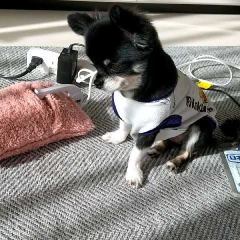 え