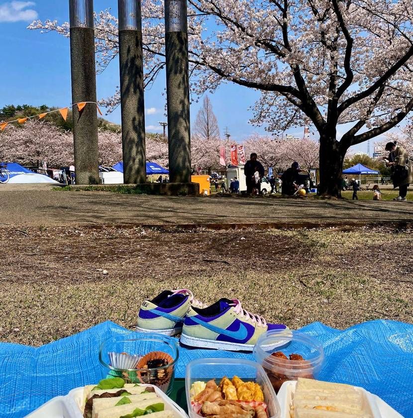 お花見ドン🌸
ほりべえとユニオンは忘れます🥱