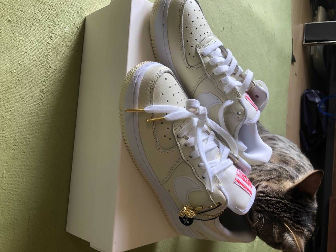 今日来ました。嫁にプレゼント致します。