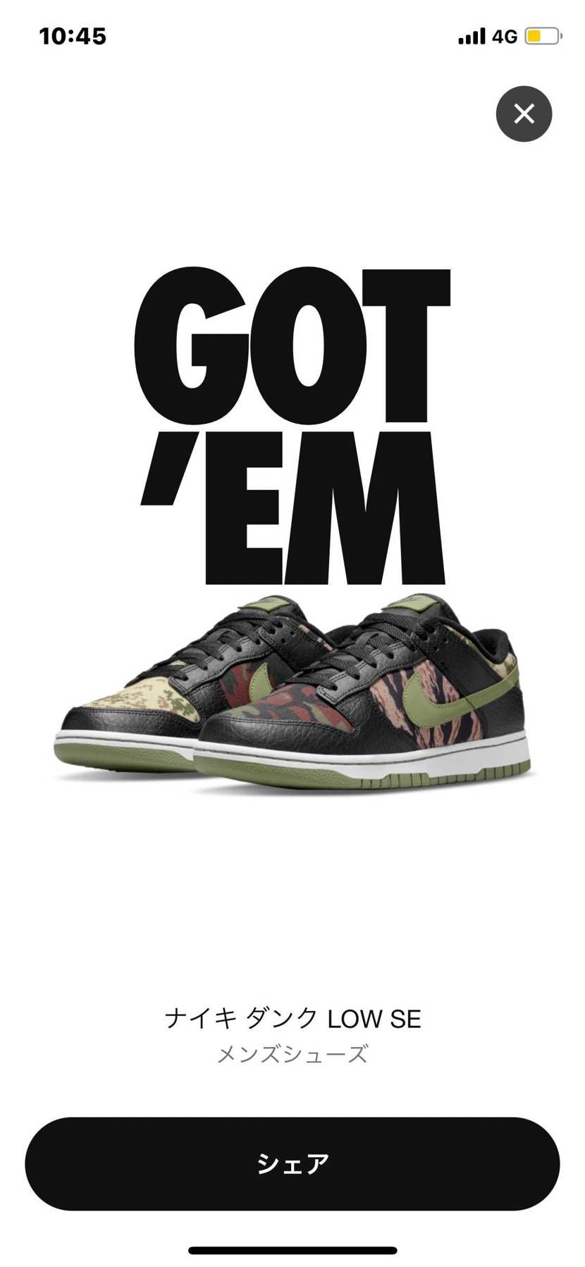 🐿拾えた！！！