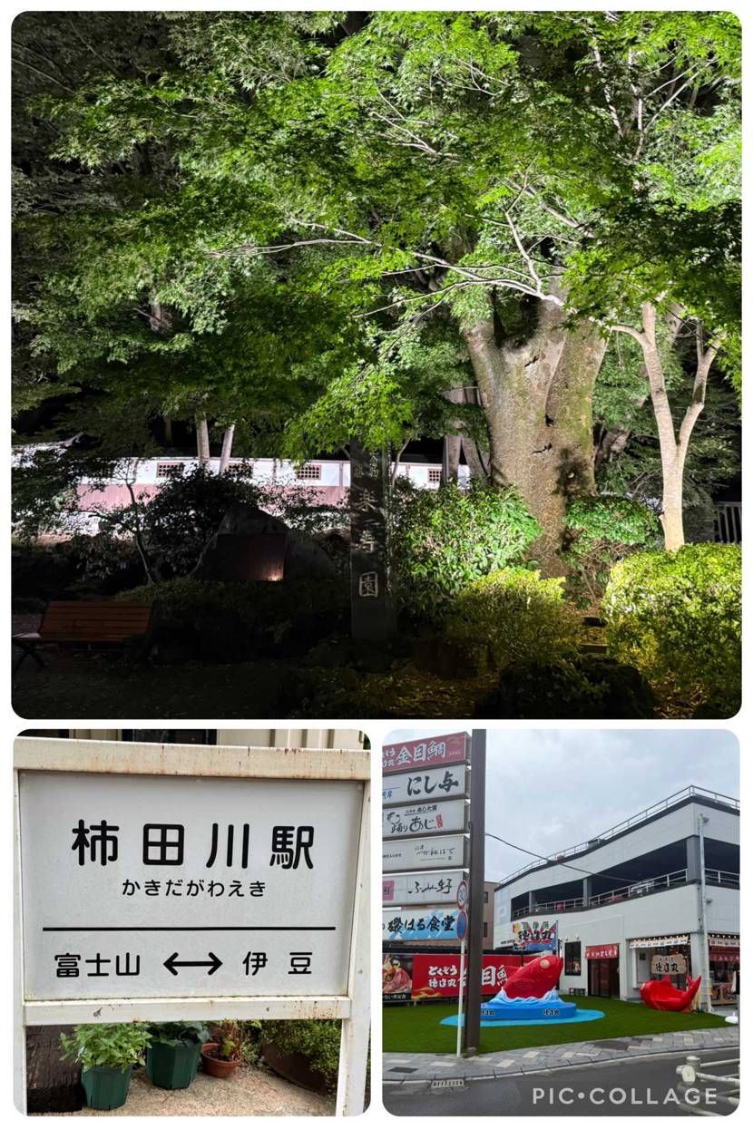 みなさんこんばんは😊🍺
長期連休の方は、今日が最終日ですね