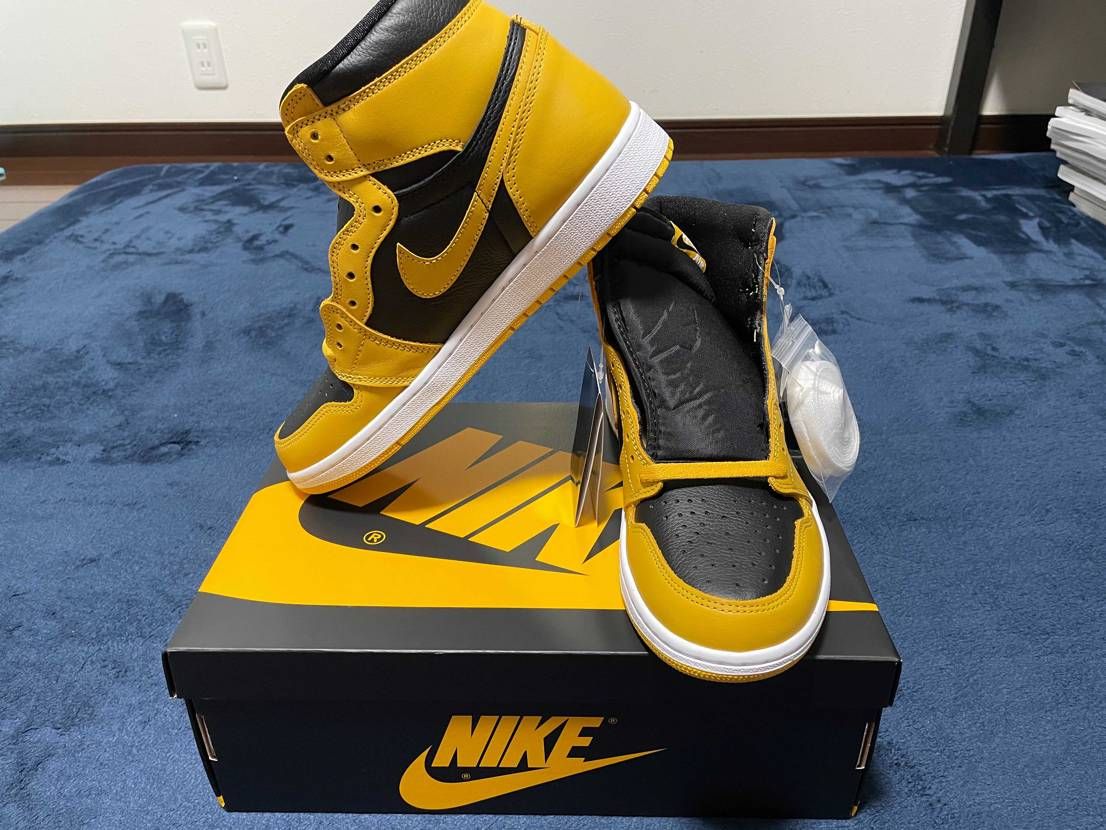 本日お昼、POLLEN到着しました🤩リーク画像初めて見た時か