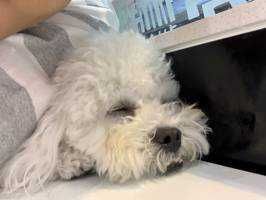 ユーザーアイコン