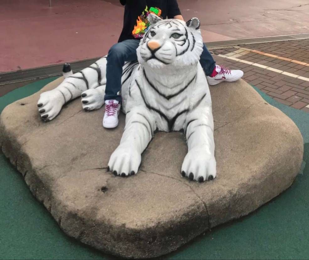 夏の思い出…
パラとアドベンチャーワールド🐼