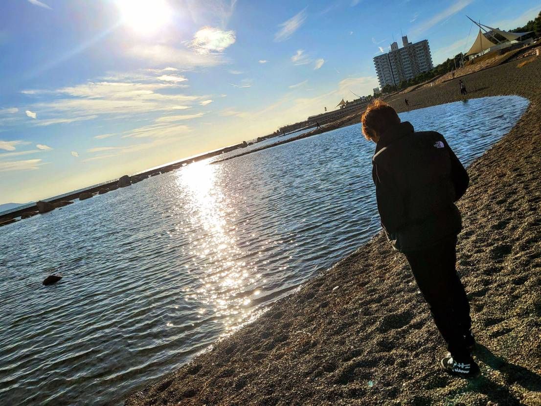 パタパタ🕊️➰️✨️🎵