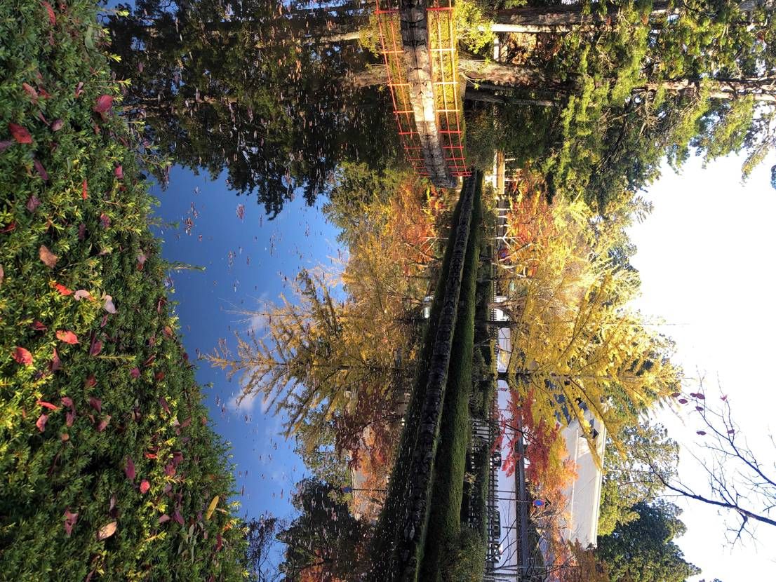 紅葉狩り🍁