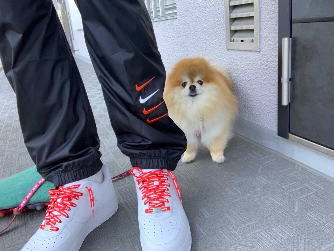 せっかく付いているんでシュプシューレースにしてみました。
個人的には白のシュー