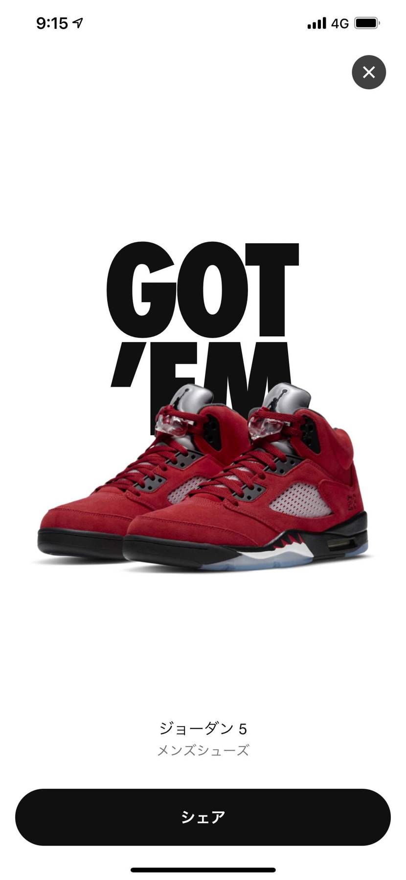 NIKE AIR JORDAN 1 ZOOM AIR CMF