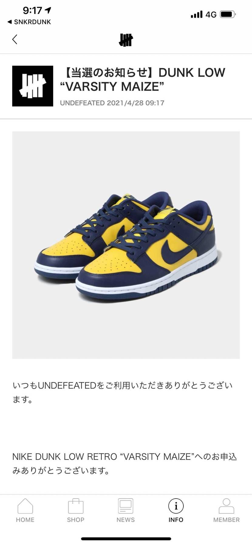 NIKE DUNK LOW "MICHIGAN"
ナイキ 