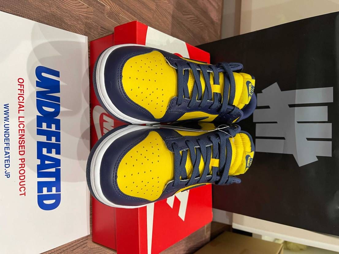 NIKE DUNK LOW "MICHIGAN"
ナイキ 