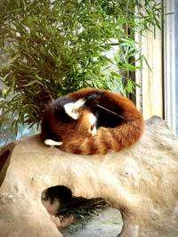 ユーザーアイコン