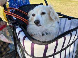 ユーザーアイコン