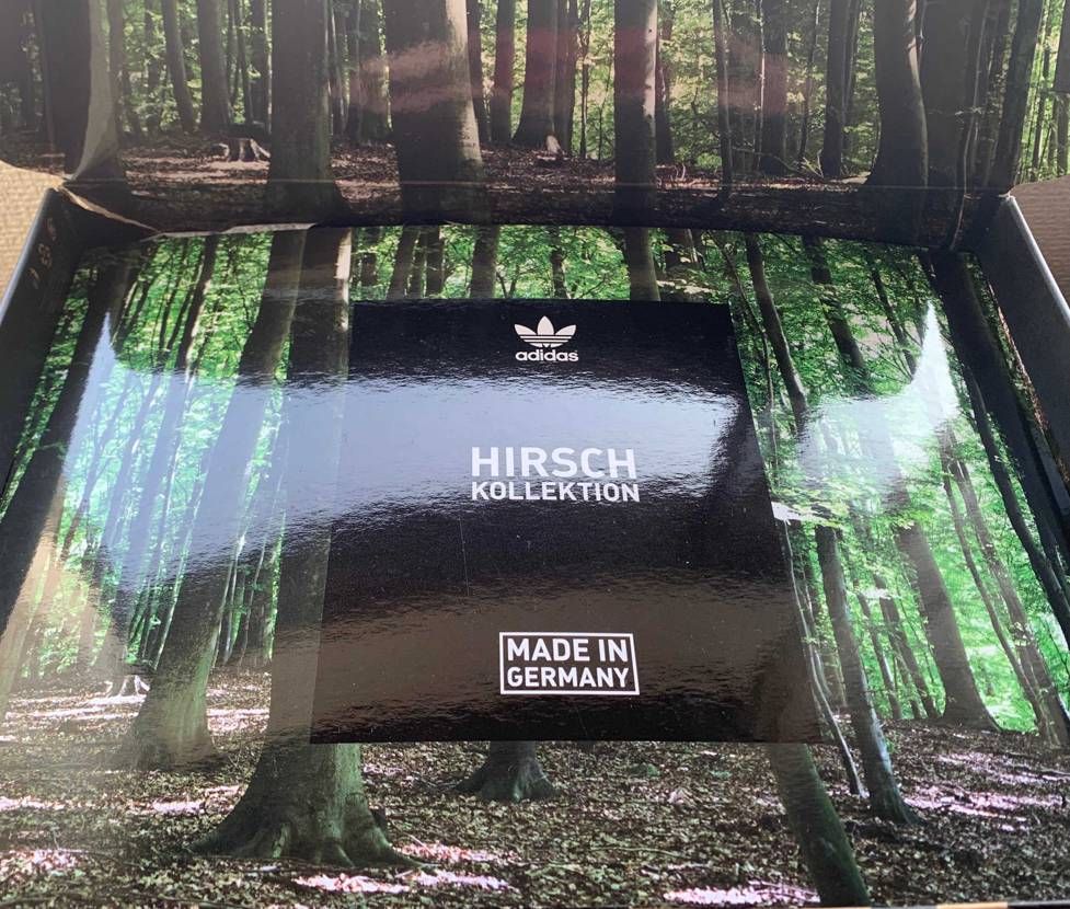 タイミング逃しておろしづらくなっているくつ、その3

zx500 OG ma