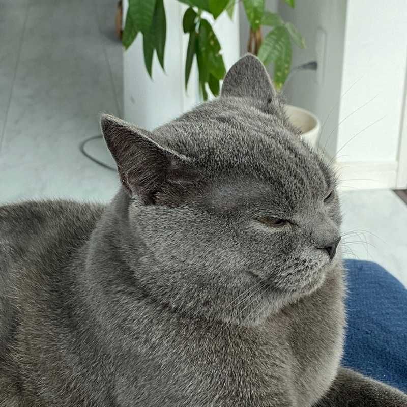 たけちゃん