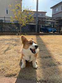 ユーザーアイコン