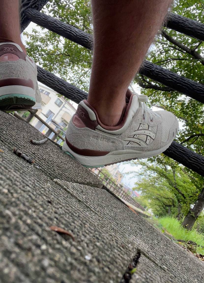 おはようございます☀夏休みも終盤🥹今日は、プール連れてきまーす♪朝の散歩で、久し