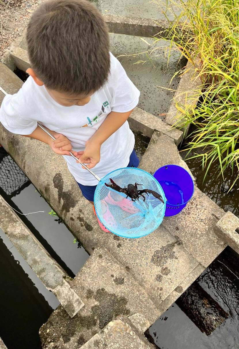 お疲れ様です😁履き替えてザリガニ取りに😁めっちゃデカいの取れ