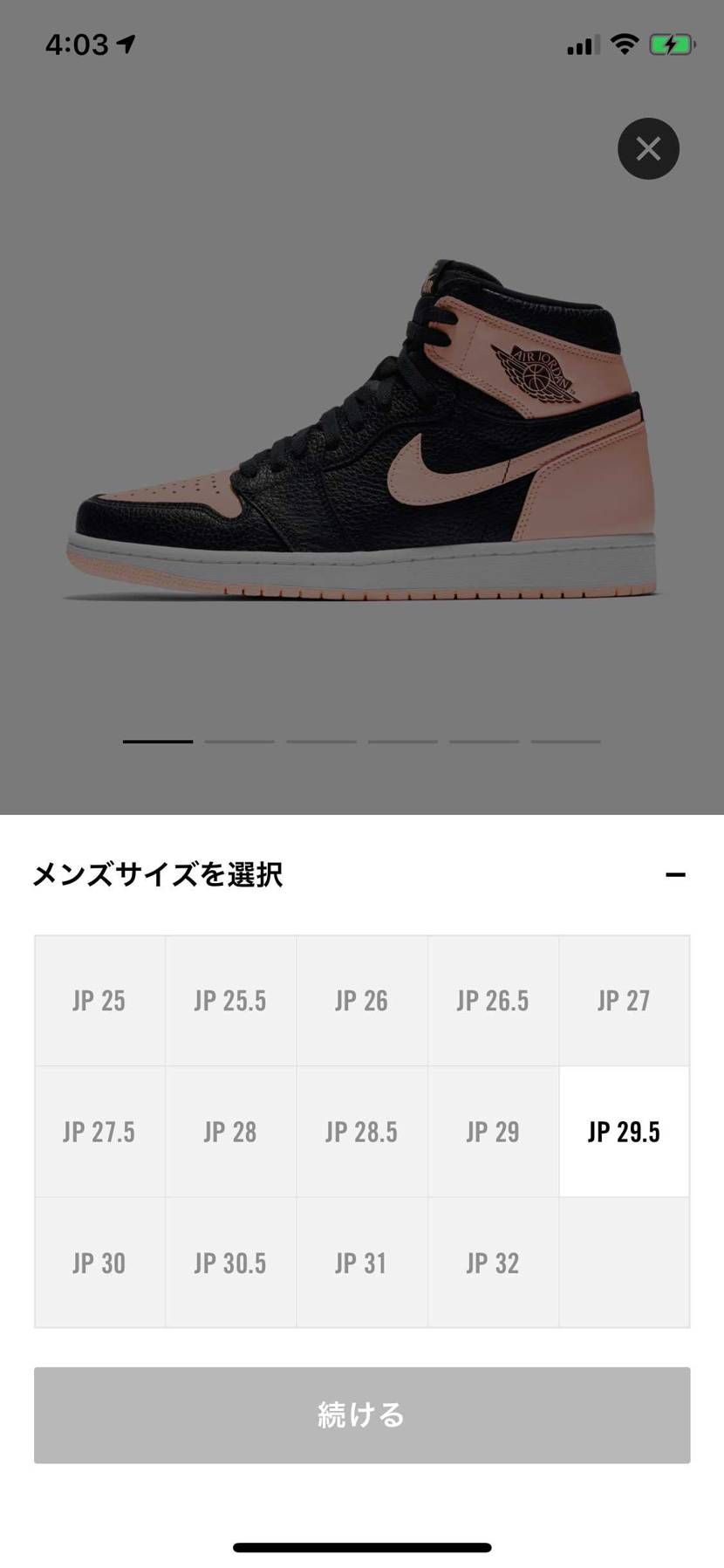 🐿🐿🐿