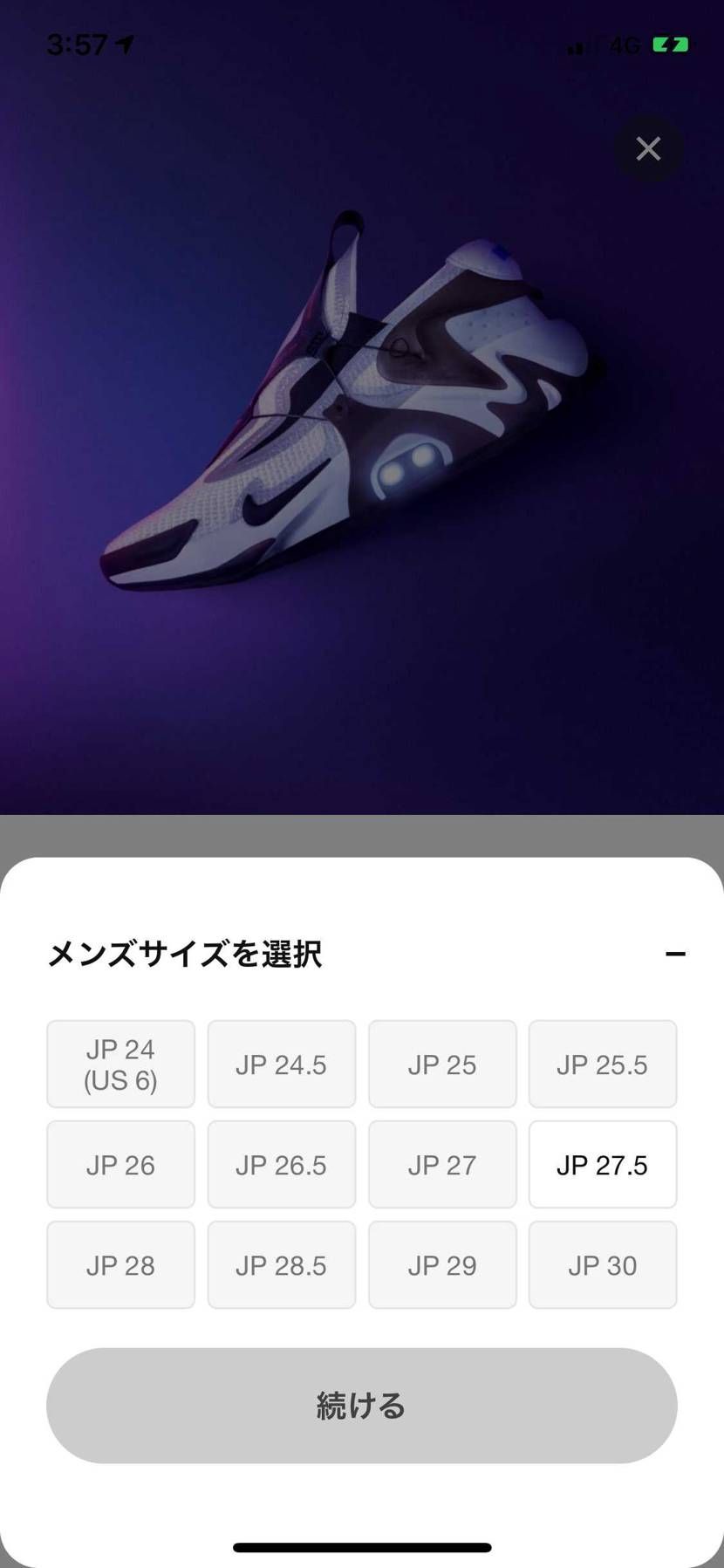 これは🐿かな？