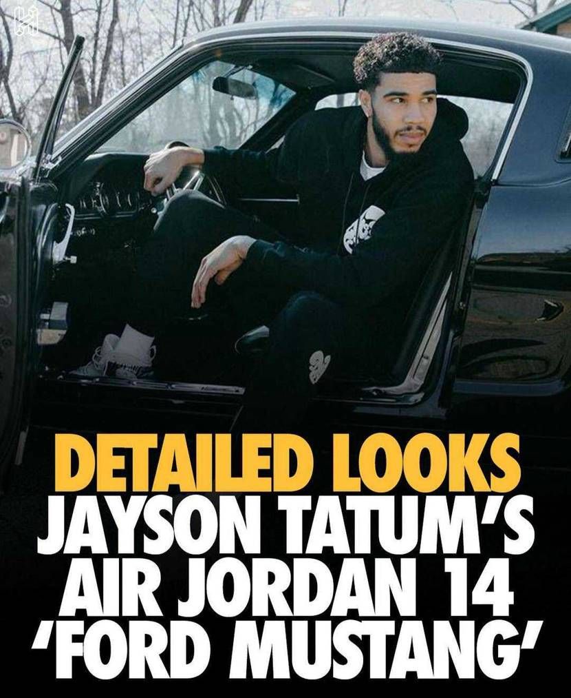 かなり凝ったジョーダン14ですね☺️