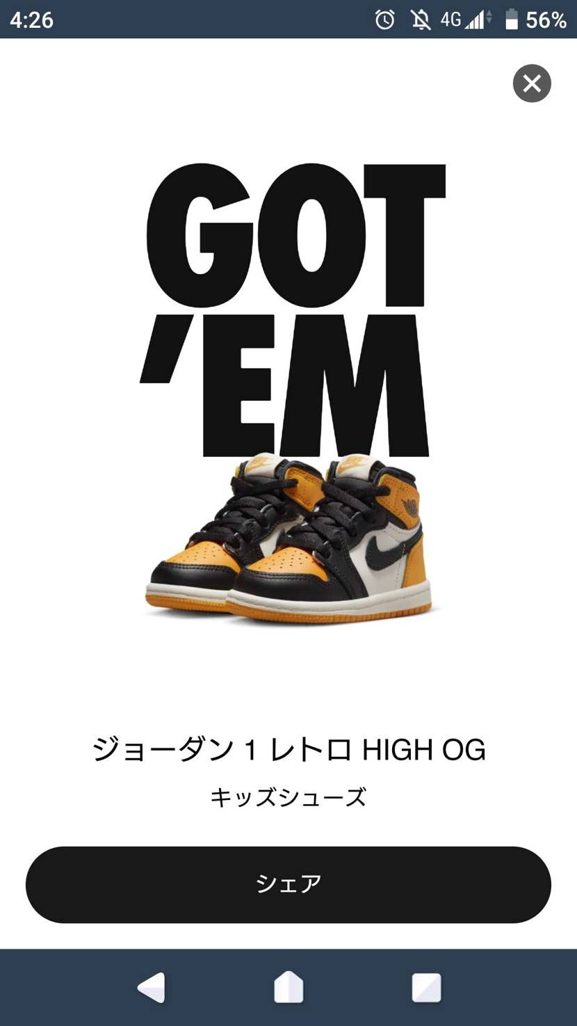 TD可愛いので🐿️ゴッテム☺️