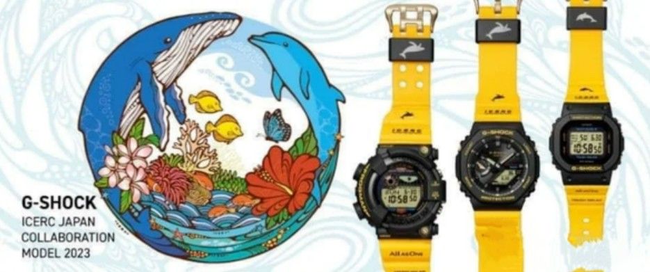 イルクジカミングスーン☺️定価がね…😞💨