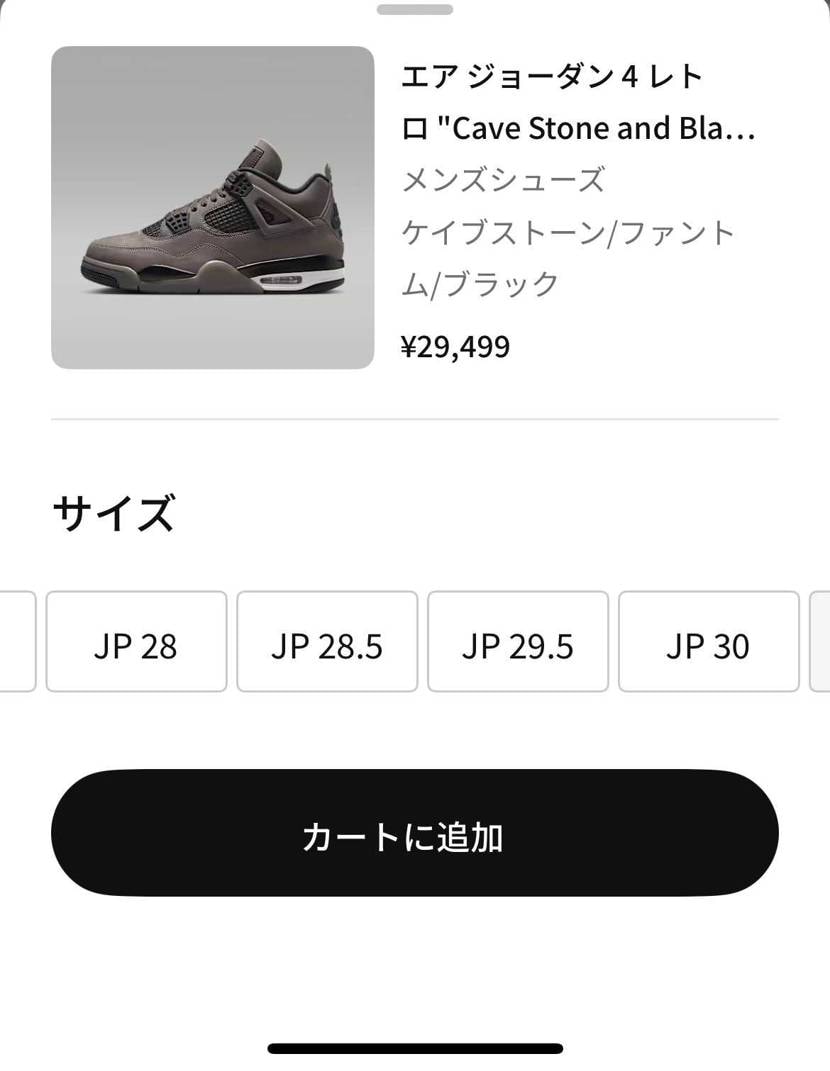 あれっ? 29センチどこ行きましたん?🤧