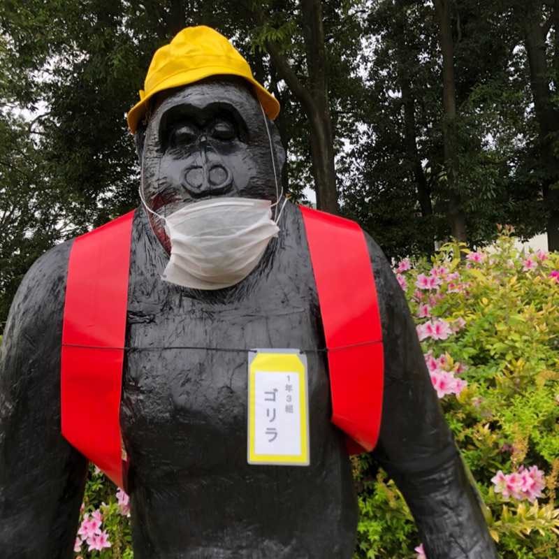 優雅