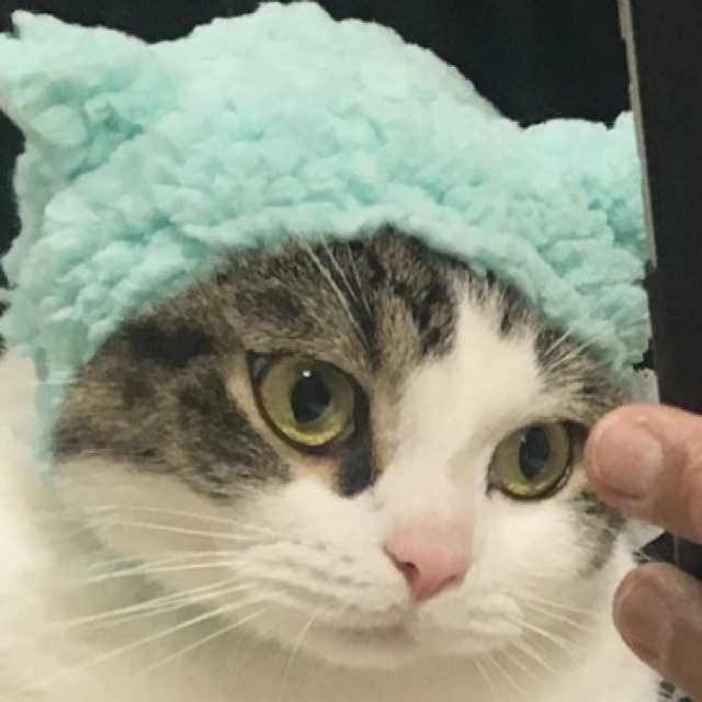 ユーザーアイコン