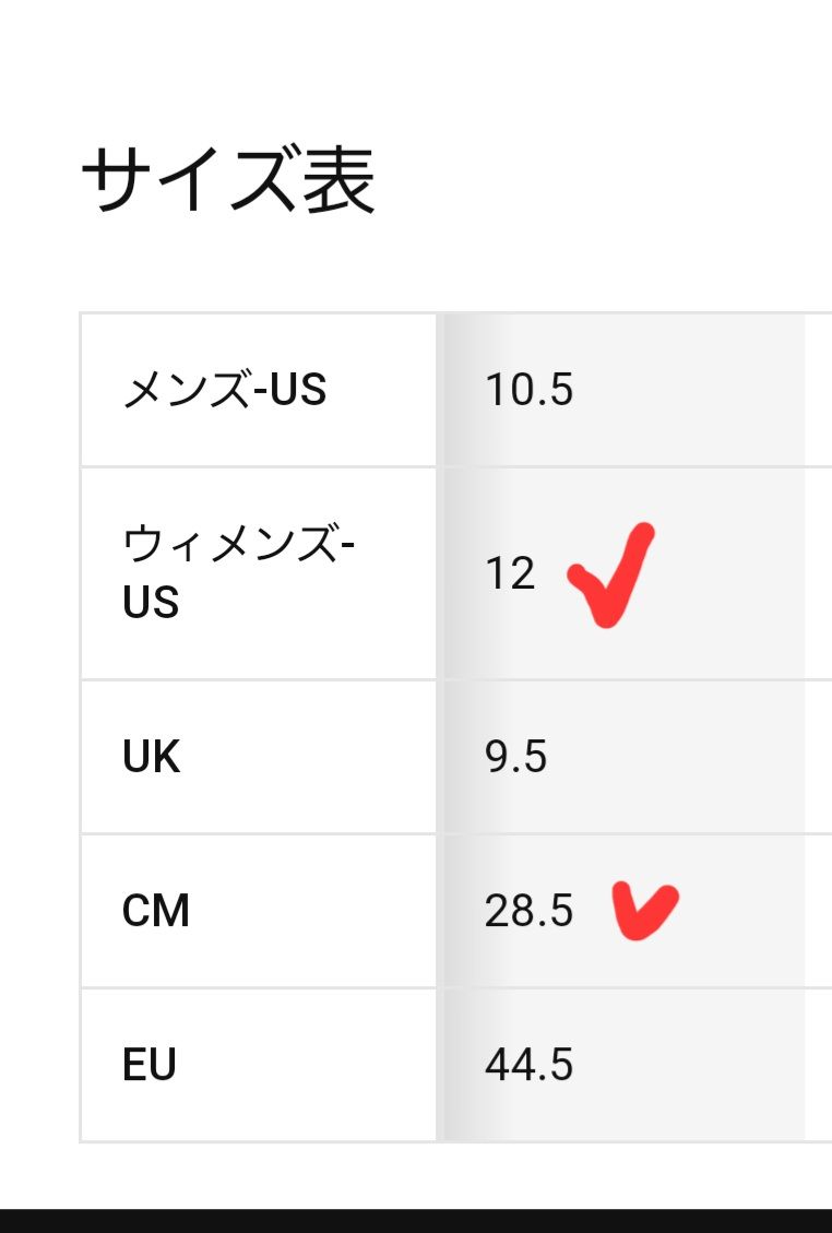 ナイキのサイズ表には、W12は28.5センチと記載がありますが、購入したスニーカ
